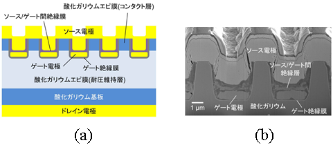 図2　酸化ガリウムトレンチMOS型トランジスタの(a)断面模式図と(b)断面電子顕微鏡像